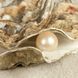 Pearl Spray 300 ml