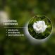 Сонцезахисний крем для тіла SPF30 - MTJ Cosmetics Superior Therapy Sun Care DN4D Body Cream SPF30 100ml 2 фото 13